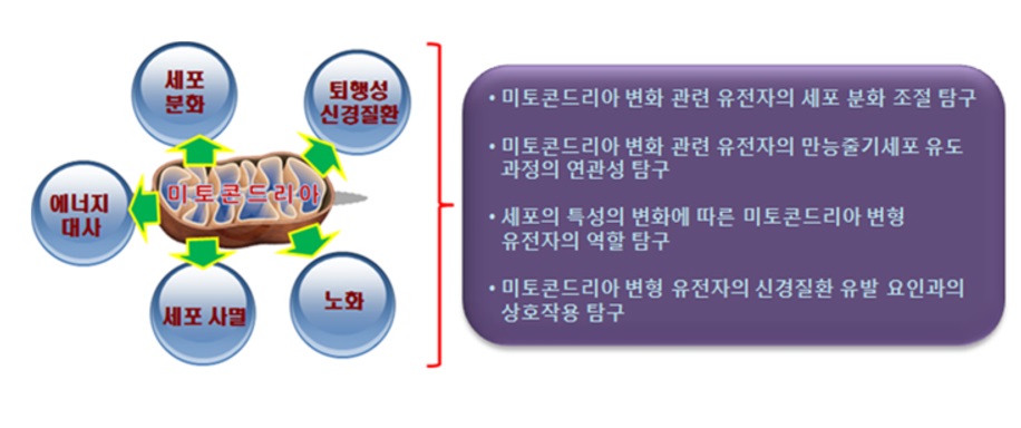 e322db224fae4a350105d48da9f65d8a_1732115805_0282.jpg e322db224fae4a350105d48da9f65d8a_1732115805_0282.jpg