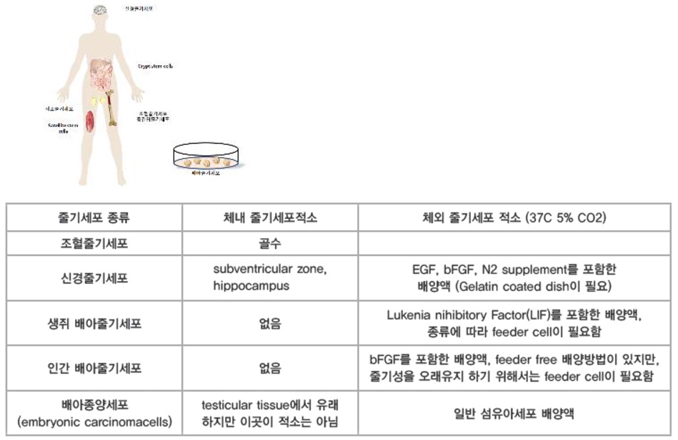 e322db224fae4a350105d48da9f65d8a_1732118155_338.jpg e322db224fae4a350105d48da9f65d8a_1732118155_338.jpg